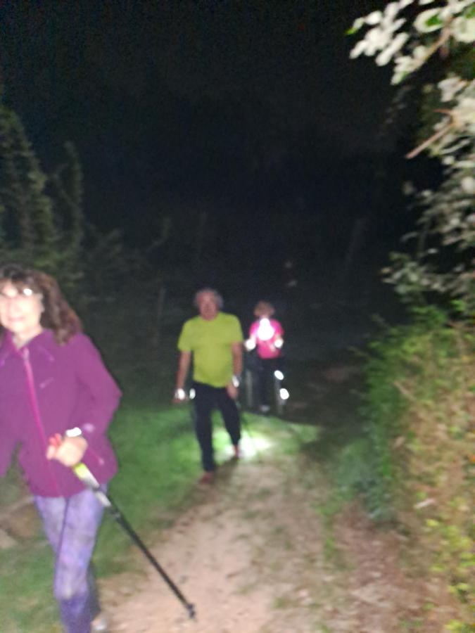 Locazione Turistica La Casetta Conegliano Dış mekan fotoğraf
